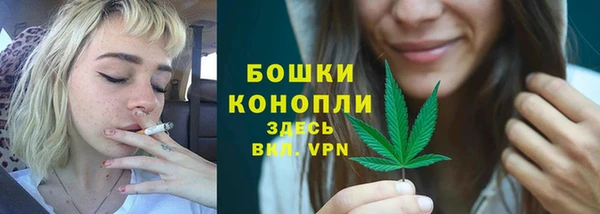 мескалин Новодвинск