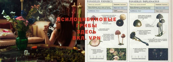 первитин Новозыбков