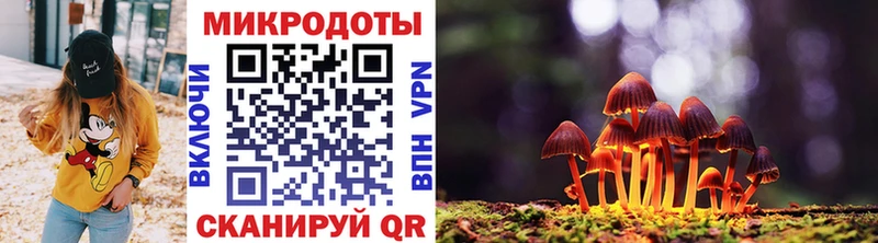 Псилоцибиновые грибы Cubensis Кумертау