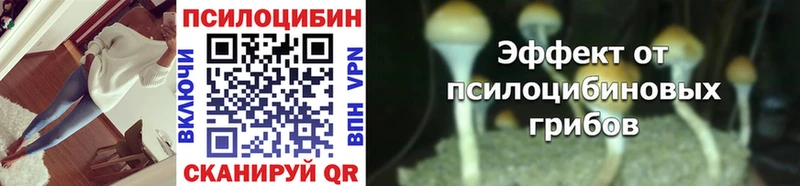 Купить  Кумертау  Псилоцибиновые грибы ЛСД 